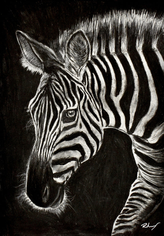 Limited edition zebra print from the Trophy Series. Symbolic of individuality, duality, and the politics of visibility, this piece merges natural elegance with social commentary in charcoal.