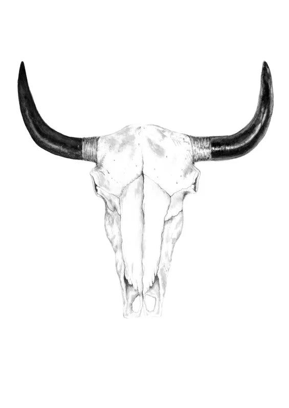 His (Skull)